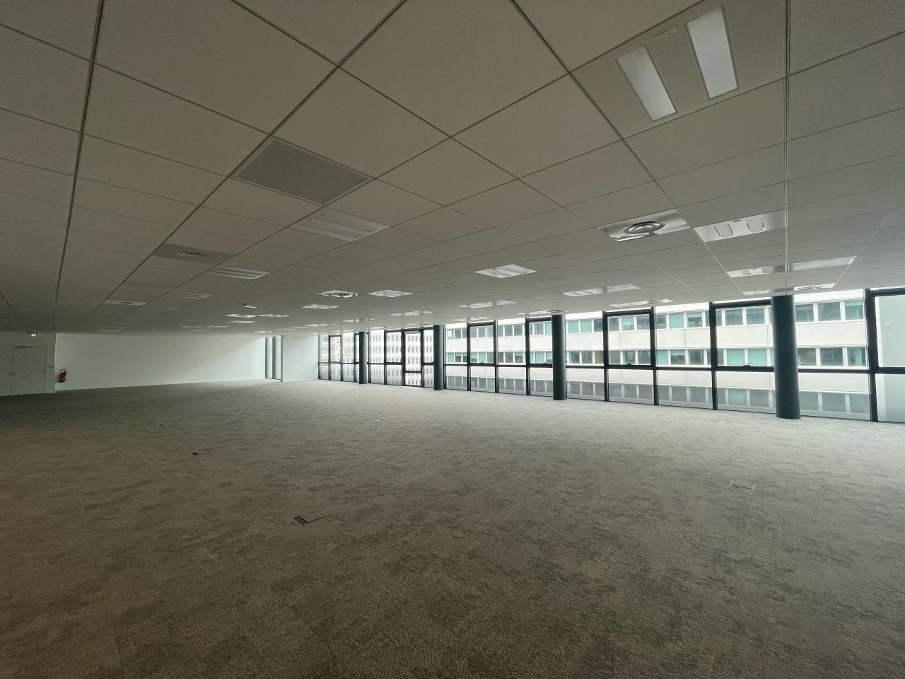 Bureau Lyon 5704m² Location bureau Lyon Rhône OLBUR2109182 13